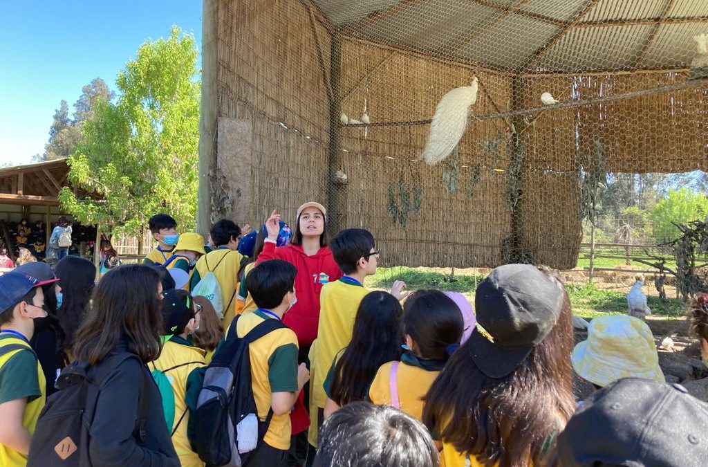 Salida Pedagógica a Granja Educativa