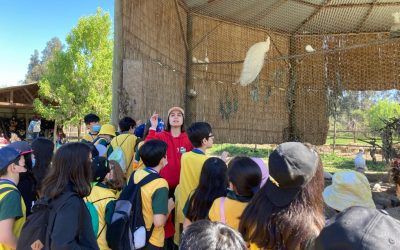 Salida Pedagógica a Granja Educativa